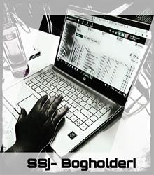 Ssj-bogholderi