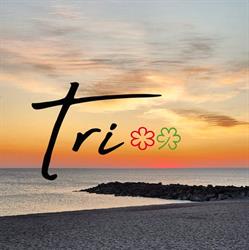 Restaurant tri