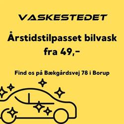 Vaskestedet Borup
