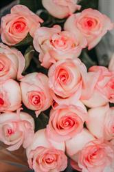 Flowers by Ravn