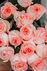 Flowers by Ravn