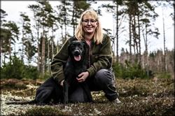 Trænhund -Hundetræning Vejle/Bredballe