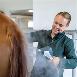 Cryo Horse Denmark