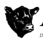 Dansk Angus