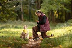 Dogmanship.dk