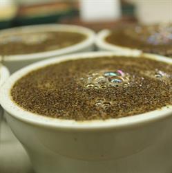 Coffeefriends