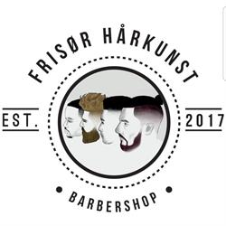 Frisør hårkunst -Ludvig
