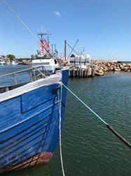 BB-Spodsbjerg