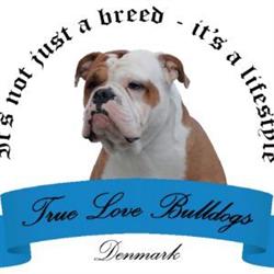 TrueLove Bulldogs Denmark