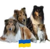 Kennel Malofti Collies