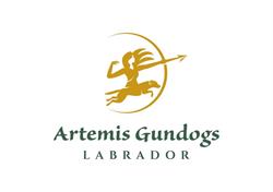 Kennel Artemis Gundogs