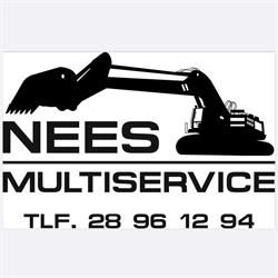 Nees multiservice