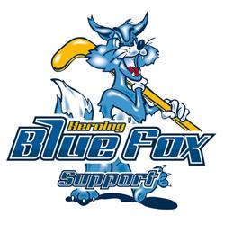 Bluefoxsupport