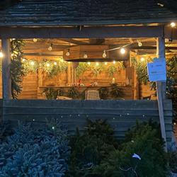 Juletræer på Nordgården