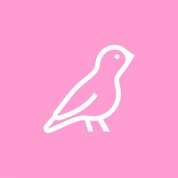 Musvit Media