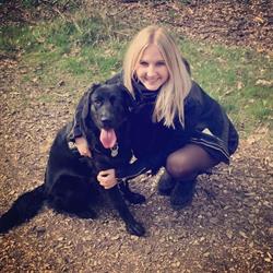 Kjærs hundesalon