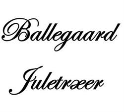 Juletræer på Ballegaard