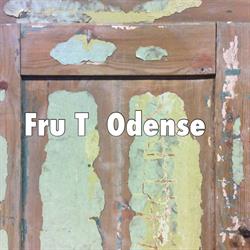 Fru T Odense IVS