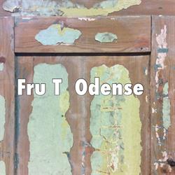 Fru T Odense IVS