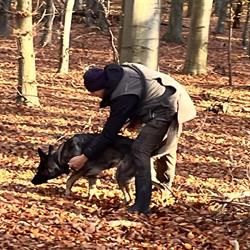 Dansk Politihundeforening Holbæk afdeling