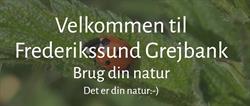 Frederikssund Grejbank