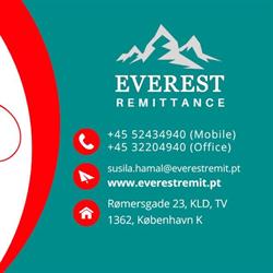 Everest REMIT