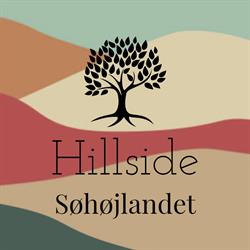 Hillside.nu