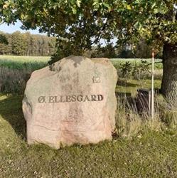 Ø.Ellesgård
