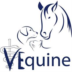 Vequine