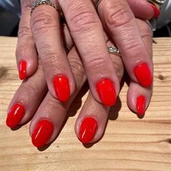 Nail Supply