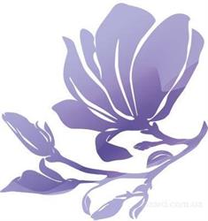 Magiray