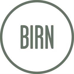 Valdemar Birn A/S
