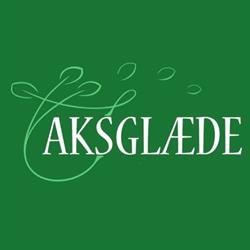 Aksglæde Skobutik