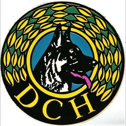 DcH Jyderup