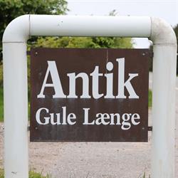 Gule Længe Antikviteter