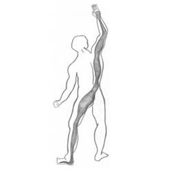 Body in Line