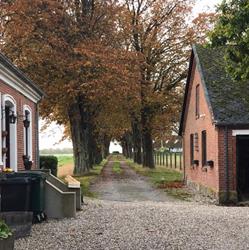 Botilbuddet Engsgaard