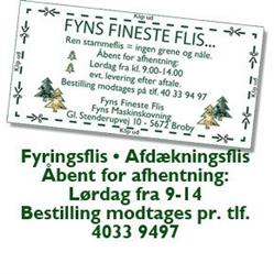 Fyns Fineste Flis