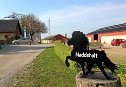 Nøddeholt Rideterapi