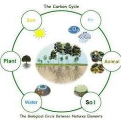 Permaculture Farmers