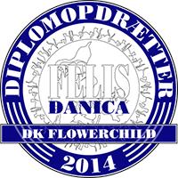 DK Flowerchild - Ragdoll Cattery