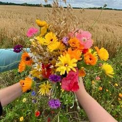 Blomsterblandinger.dk
