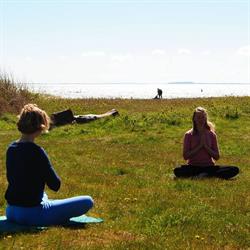Yogalandskab