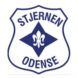 IF Stjernens Håndboldskole