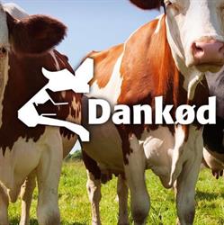 Dankød ApS