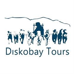 Diskobay Tours