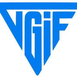 Vissenbjerg GIF Håndbold