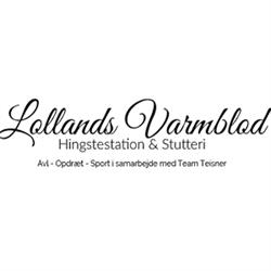 Lollands Varmblod