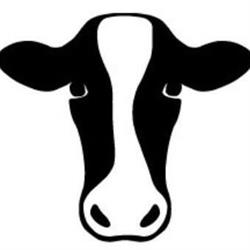 Point of Cow