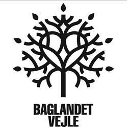 Baglandet Vejle